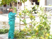 Prácticas de los alumnos del Curso de Jardinería y Espacios Verdes (octubre 2009)